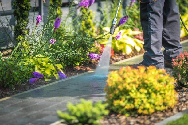Best Spring Cleaning  in Banner Elk, NC
